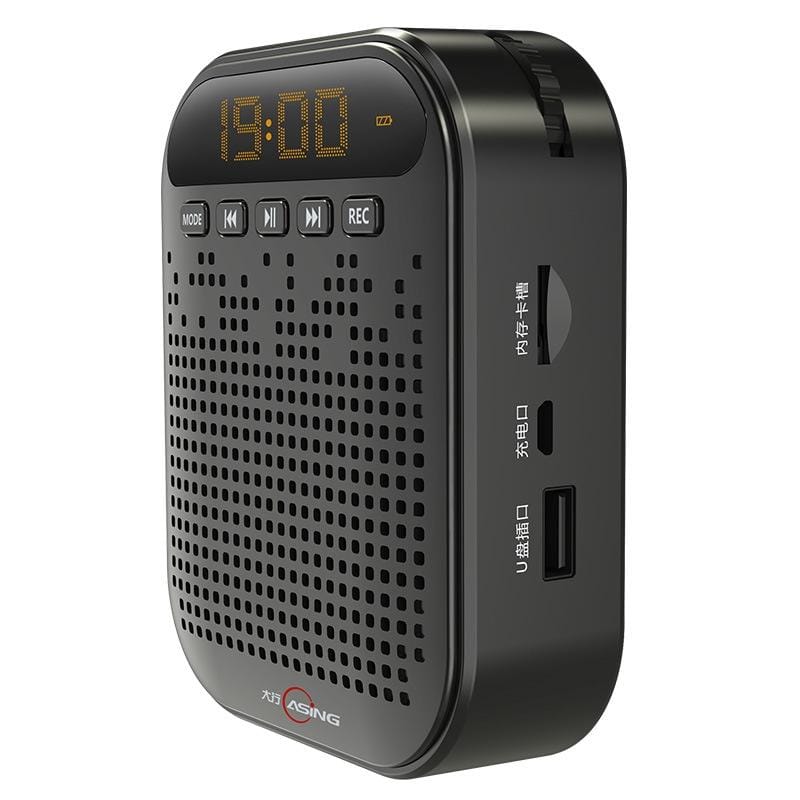 ASiNG S1019 10W Multi-function Portable Little Bee Voice Amplifier Speaker with Wired Microphone & 2 inch Display Screen for Teacher / Tourist Guide, Support TF Card & U Disk & Audio Input Function