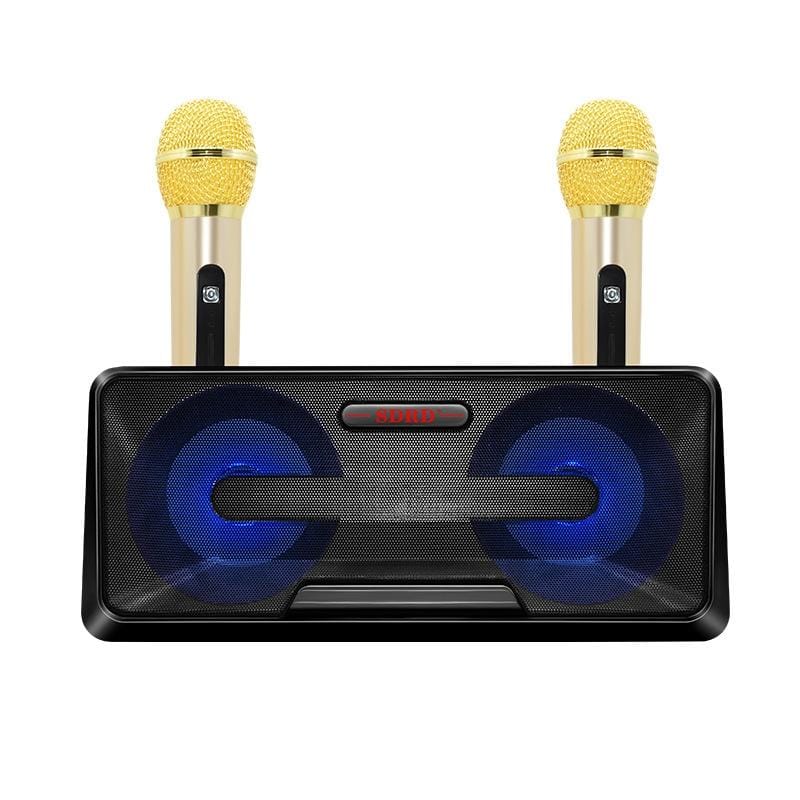 SDRD SD-301 2 in 1 Family KTV Portable Wireless Live Dual Microphone + Bluetooth Speaker (Black)