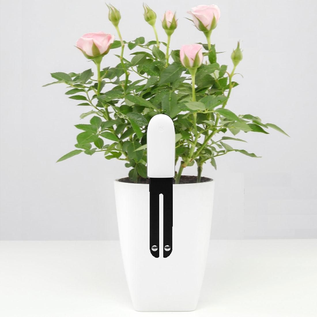 International Version Original Xiaomi Mi Bluetooth Smart Plants Monitor Flower and Plants Tester Mi Plants Nutrient / Soil Moisture / Temperature / Light Sensor Detector (White)