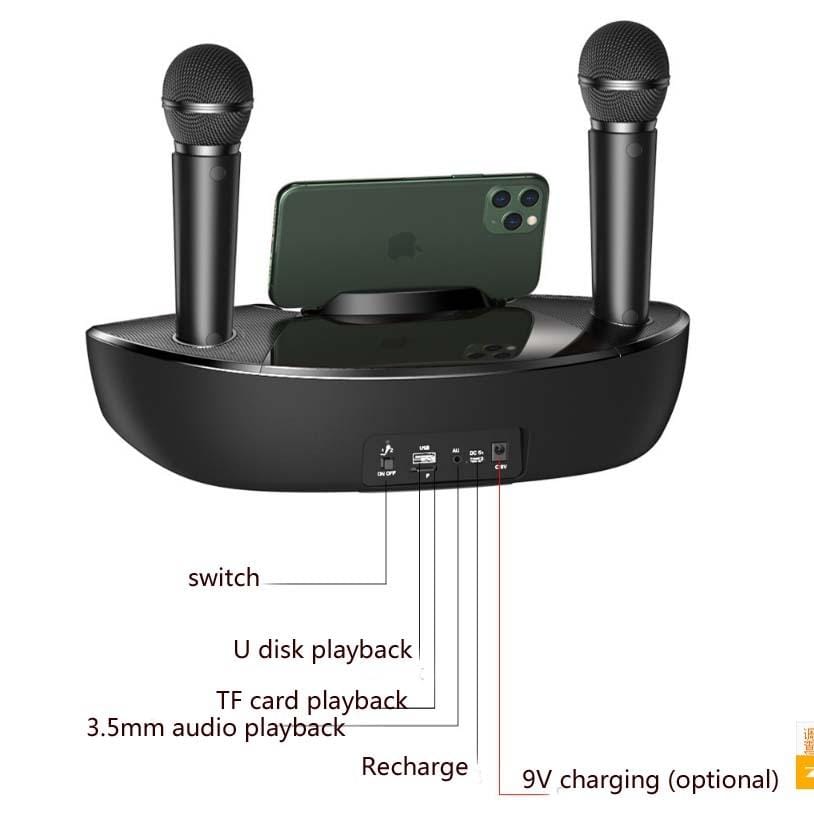 SDRD ST2020 Outdoor Portable Family KTV Live Singing Wireless Bluetooth Speaker Dual Microphone (Black)