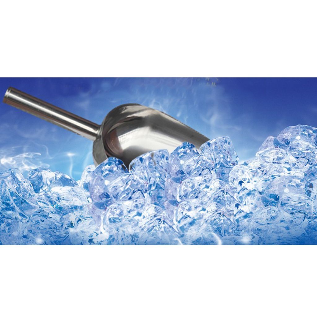 Stainless Steel Ice Scoop Shovel Sweets Buffet Flour Candy Measure Tools 8"