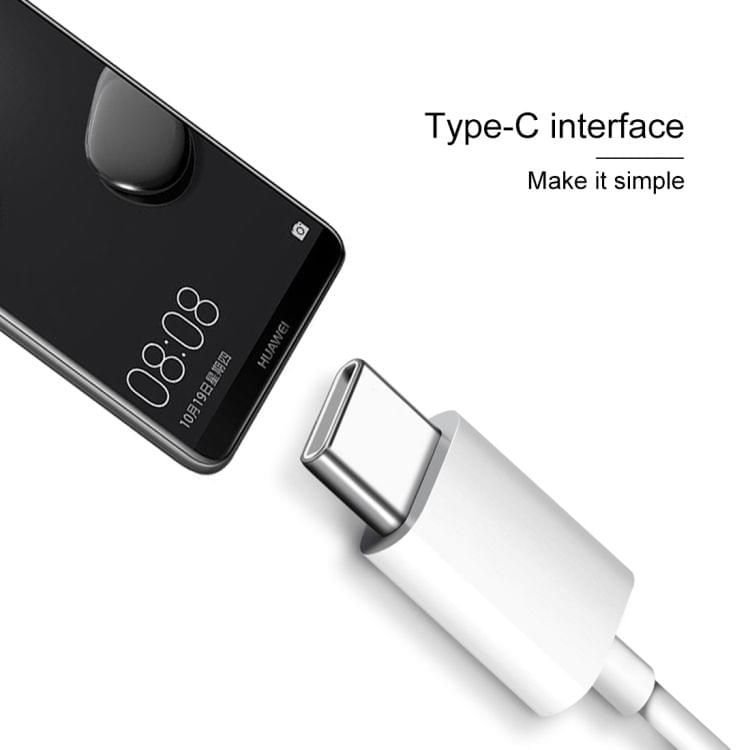 1.2m Wired In Ear USB-C / Type-C Interface Stereo Earphones with Mic