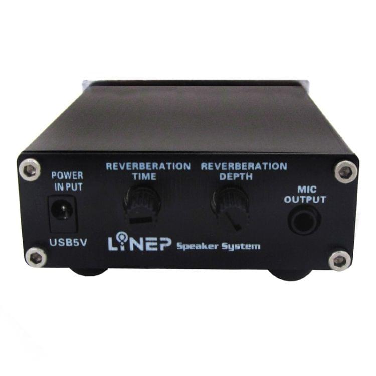 A907 Professional Two-channel Microphone Amplifier Dual Microphone Reverb