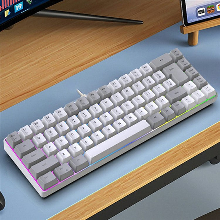 Y-FRUITFUL K701 68 Keys Wired Keyboard with RGB Light Mechanical Gaming Keyboard - Grey+White