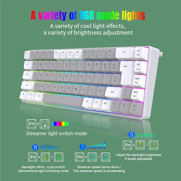 Y-FRUITFUL K701 68 Keys Wired Keyboard with RGB Light Mechanical Gaming Keyboard - White+Green