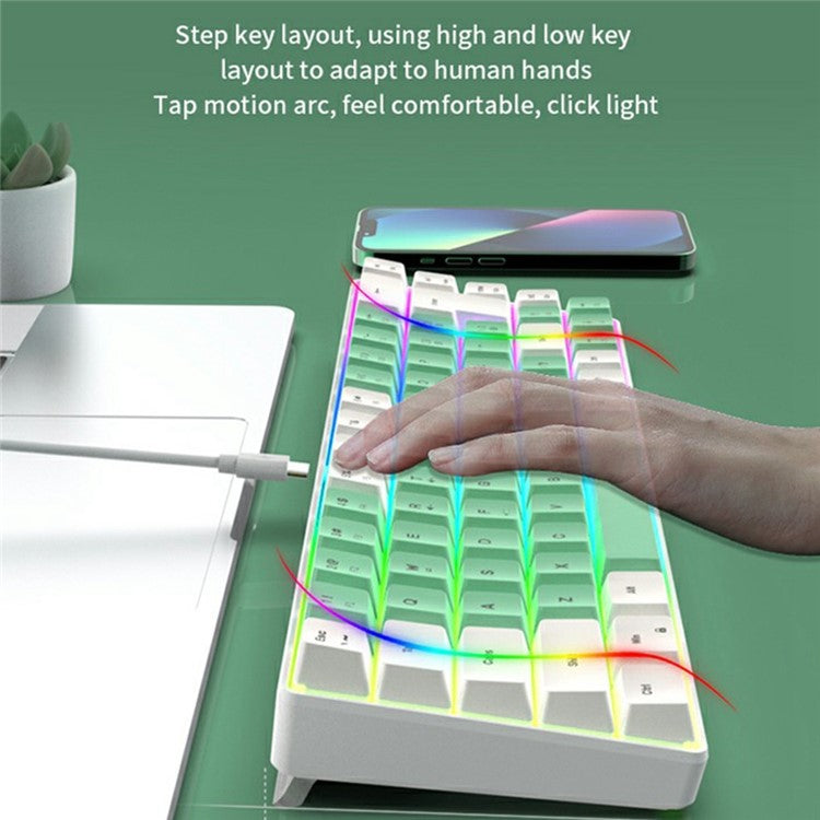 Y-FRUITFUL K701 68 Keys Wired Keyboard with RGB Light Mechanical Gaming Keyboard - White+Green