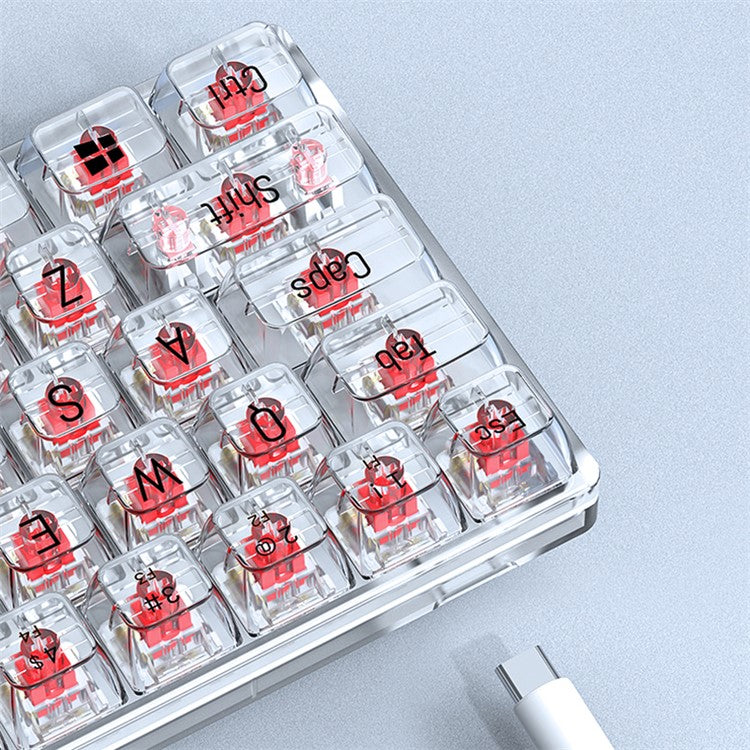 T-WOLF T40 150cm Wired Mechanical Keyboard with Clear Keycaps - Transparent Red