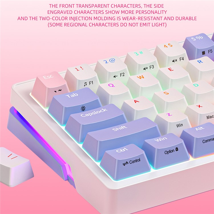 ZA68 Computer Laptop Gaming Keyboard Wired RGB Light 68-Key Mechanical Keyboard - Style B