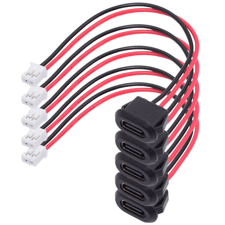 CN-025-2P 5Pcs / Set DIY OEM Type C Female Socket to 2 Pin Header Cable Pitch 2.0mm Latch Mount Type DC 5V / 20V PD Power
