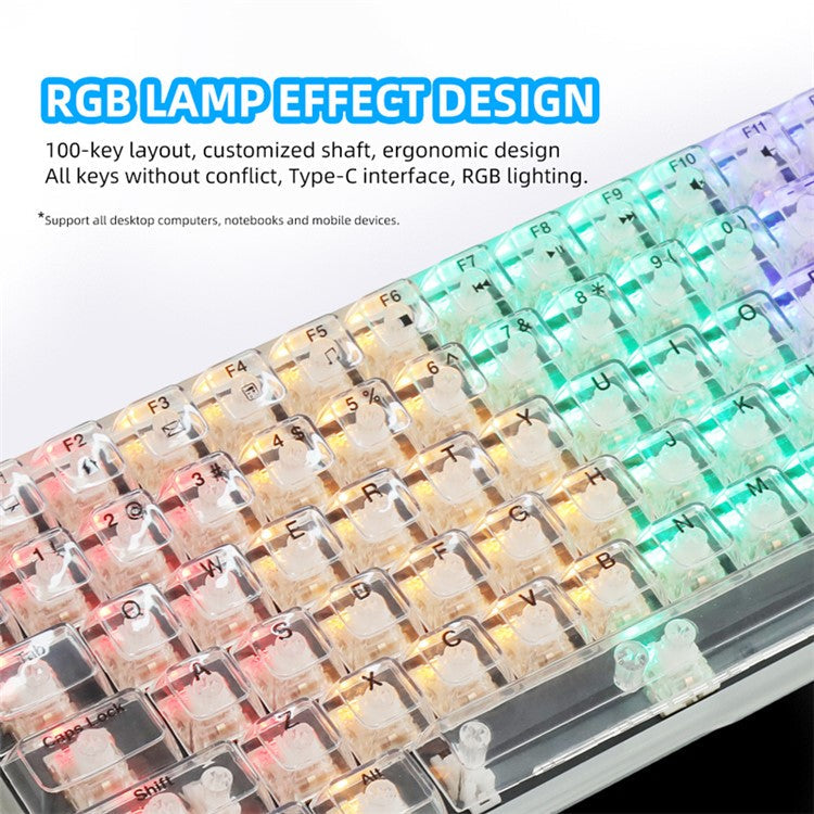 Y-FRUITFUL K10 Mechanical 100-Key Type-C Wired Keyboard with Clear Keycap - Transparent White
