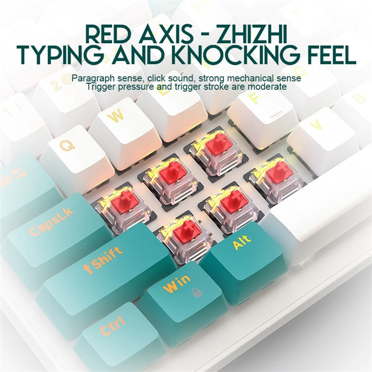 FREE WOLF K3 Mechanical Keyboard 100-Key Gaming Keyboard with Colorful Light Effects for Office Home Computers Laptops - Green/Blue Switch