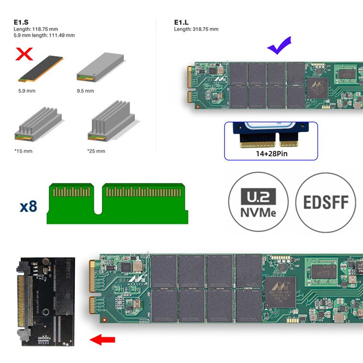SF-072-2C EDSFF-2C Interface E1L 14+28P SSD to U.2 SFF-8639 Adapter