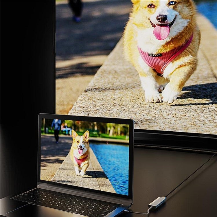 5-in-1 Docking Station Type-C Hub with 4K 60Hz HD + 2x USB-C + USB 3.0 + PD Charging Port