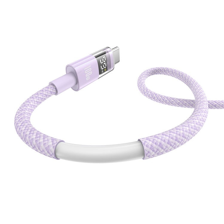 BASEUS Dispaly II 1m 100W Cable Data Transfer USB-A to USB-C Fast Charging Cord - Purple