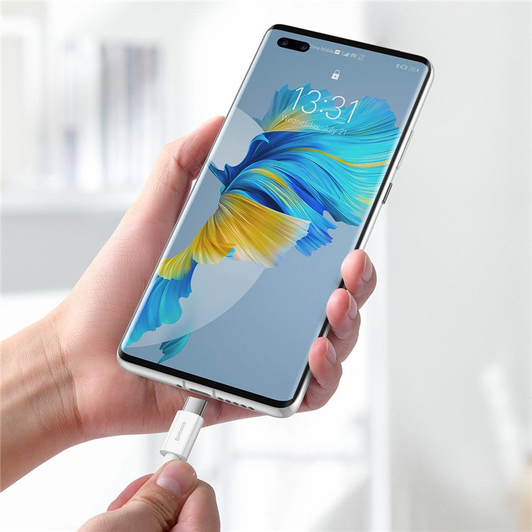 BASEUS Superior Series Fast Charging Data Cable USB to Type-C 66W 2m - White