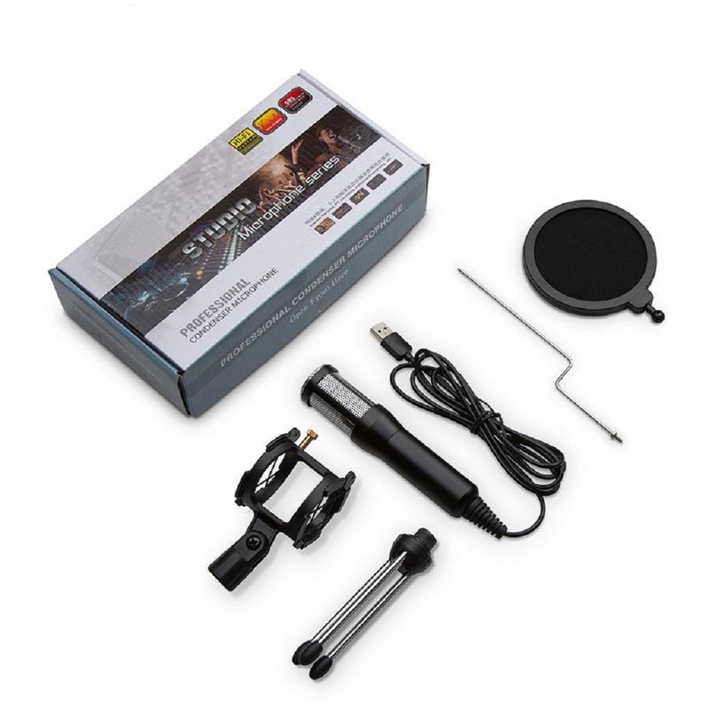 Professional Audio Dynamic Condenser Sound Recording Microphone Mic Studio