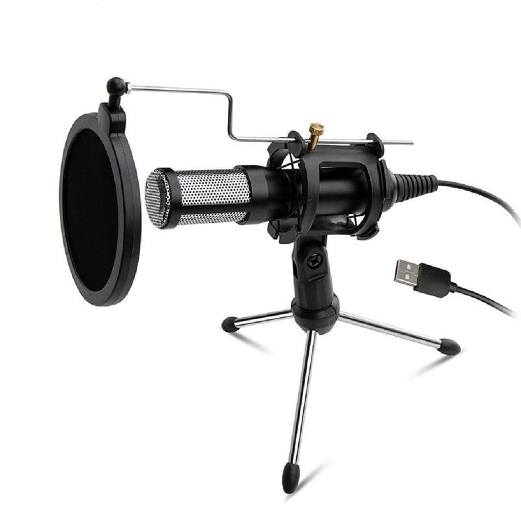 Professional Audio Dynamic Condenser Sound Recording Microphone Mic Studio