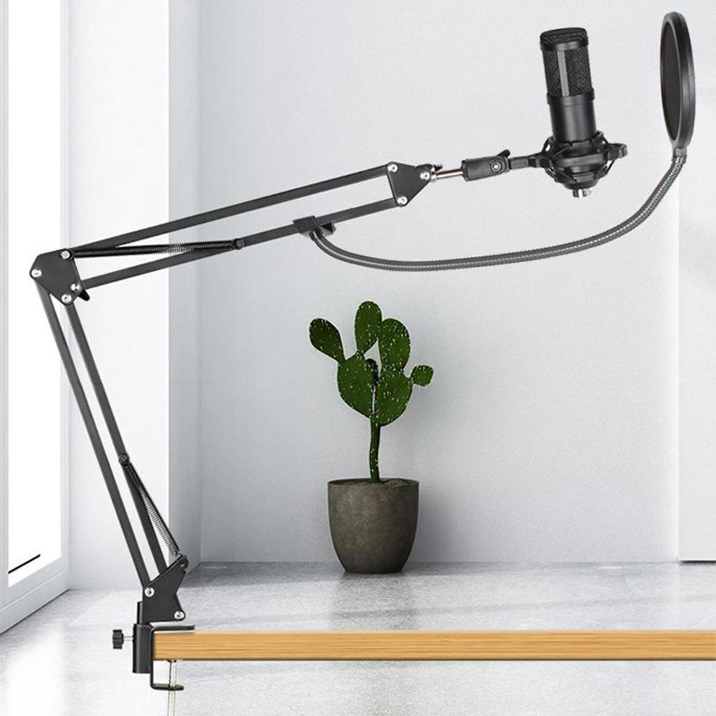 Condenser Microphone Kit for Studio Recording Golden B