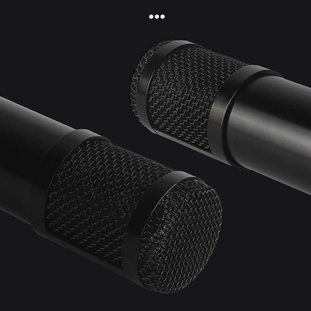 Condenser Microphone Kit for Studio Recording Silver B with Sound Card