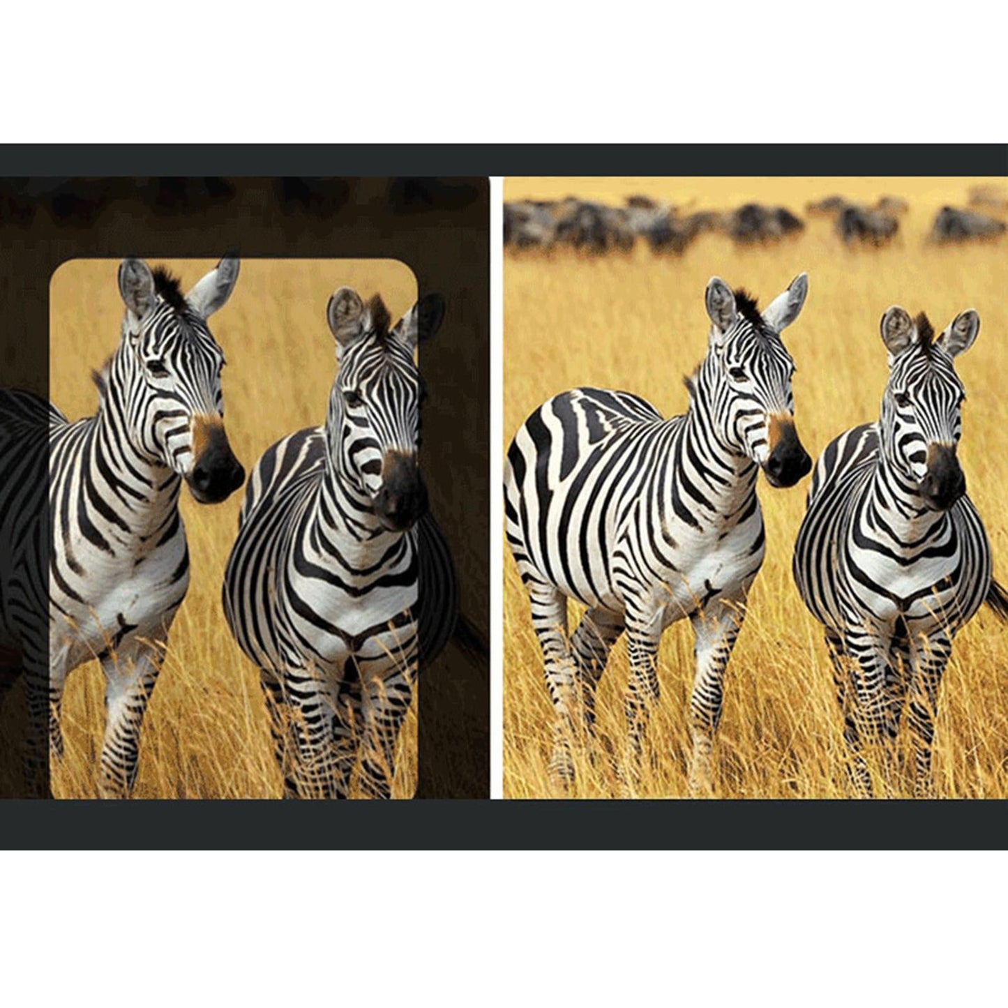 40x22 HD Binoculars Mini Telescope Folding High-Resolution for Travel Adults