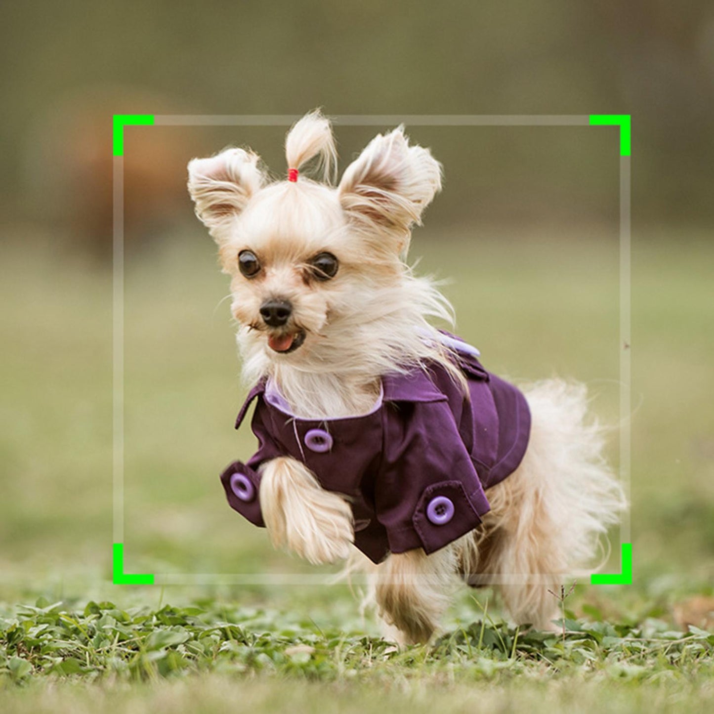 Auto Face Tracking Gimbal 360 Rotation Auto Tracking Vlog Live Battery Power