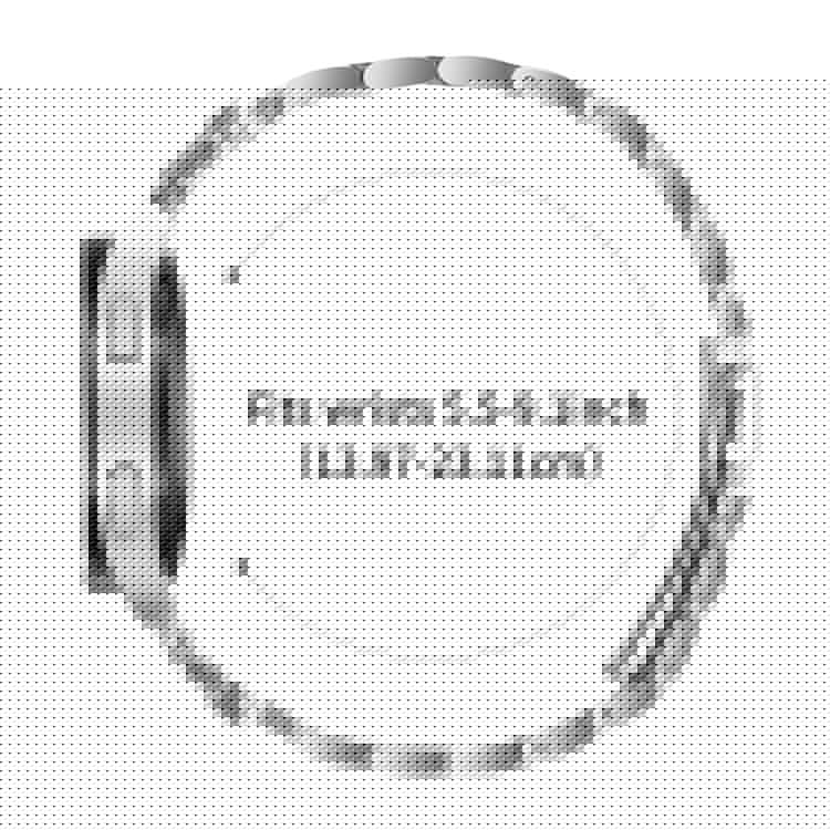 For Garmin Forerunner 645 / 645 Music Stainless Steel Strap Crown Shape Rhinestone Decor Silver Watch Band