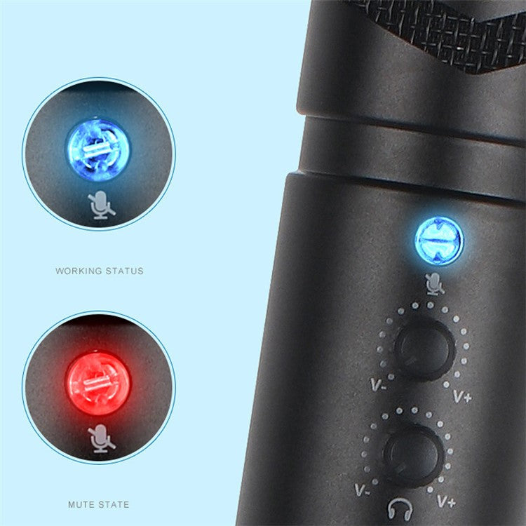 A30 Professional Studio USB Microphone Volume Adjustment Mic with Bracket for Mobile Phone Computer