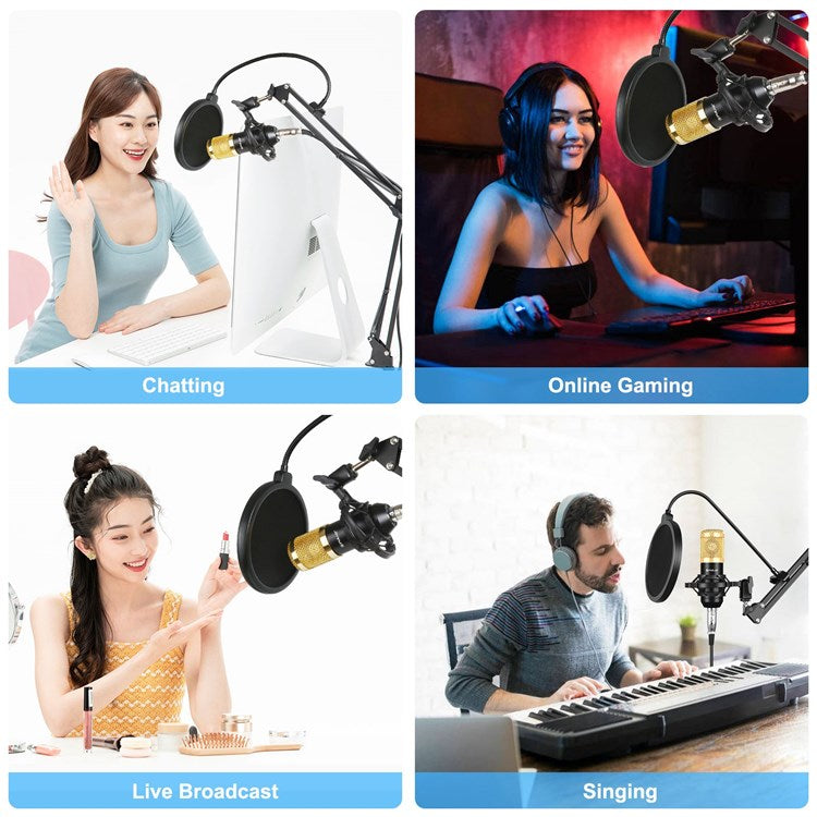 PULUZ PU612B Professional Studio Condenser Microphone USB Sound Card Set with Folding Arm Stand/Shock Mount for Live Streaming Recording Songs