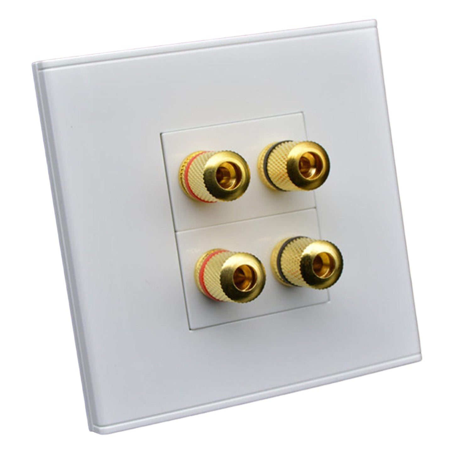 Speaker Wall Plate Wallplate Premium Pre assembled for 2 Speakers