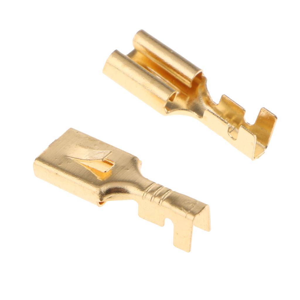 3pcs Automotive Auto Relay Double Socket 40A 10PIN with 30pcs Terminals