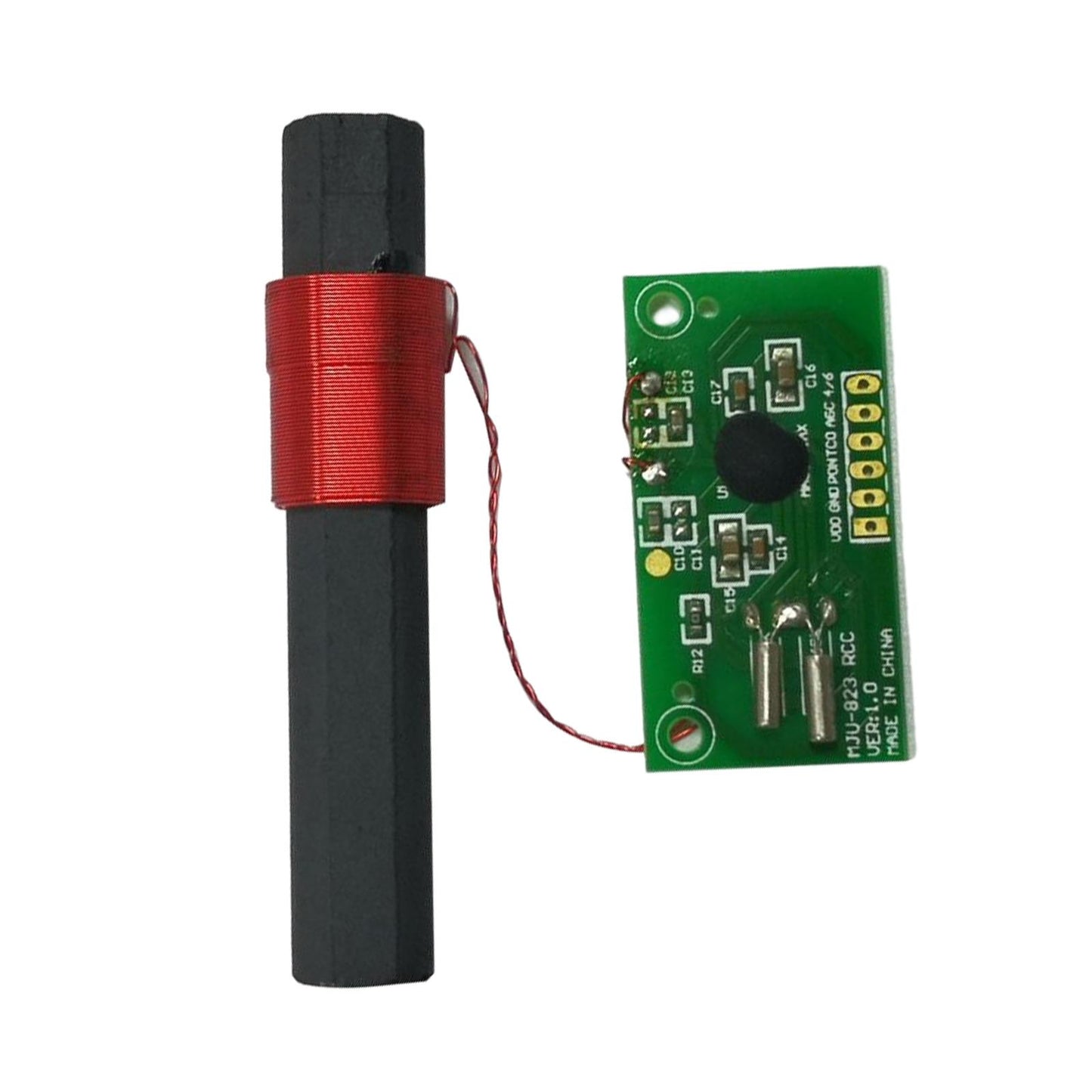 Receiver Module Radio Dual Frequency Module Module 60KHz Accessory