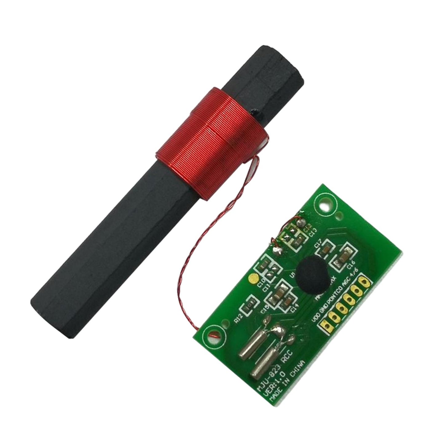 Receiver Module Radio Dual Frequency Module Module 60KHz Accessory