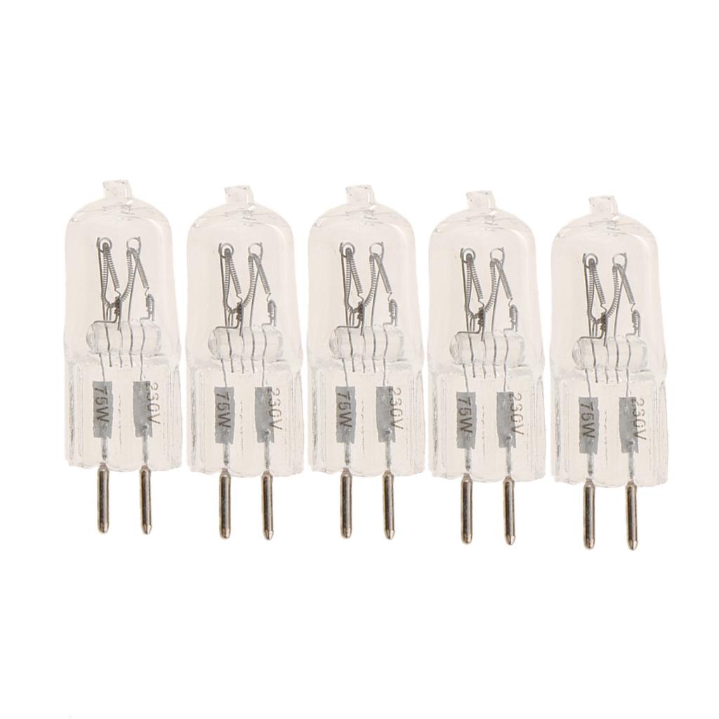 5Pieces Halogen Light Bulb Spotlight Bulb Modeling Light Focus Lamp 75W 230V