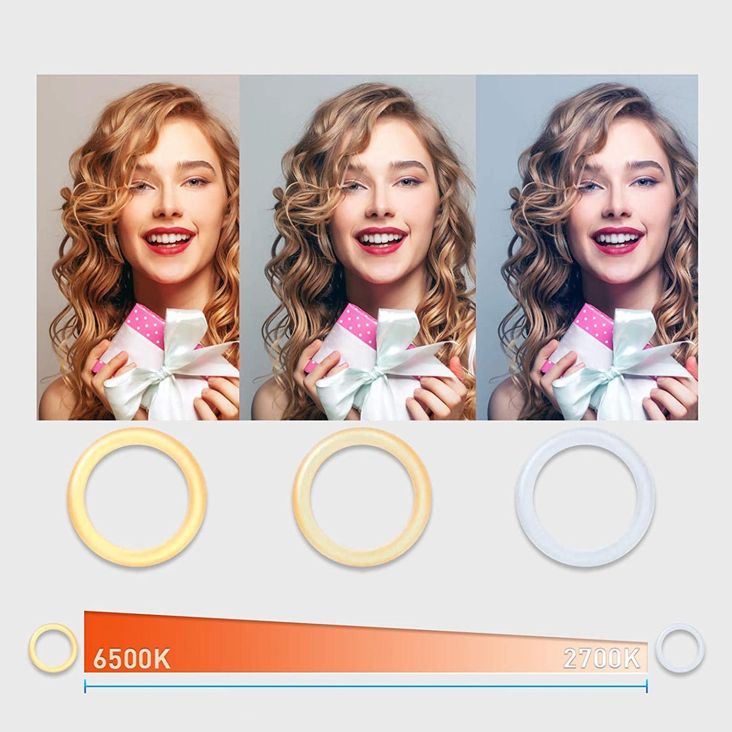 RGB Selfie Ring Light LED Desktop Circle Lamp for Live Stream 8 inch