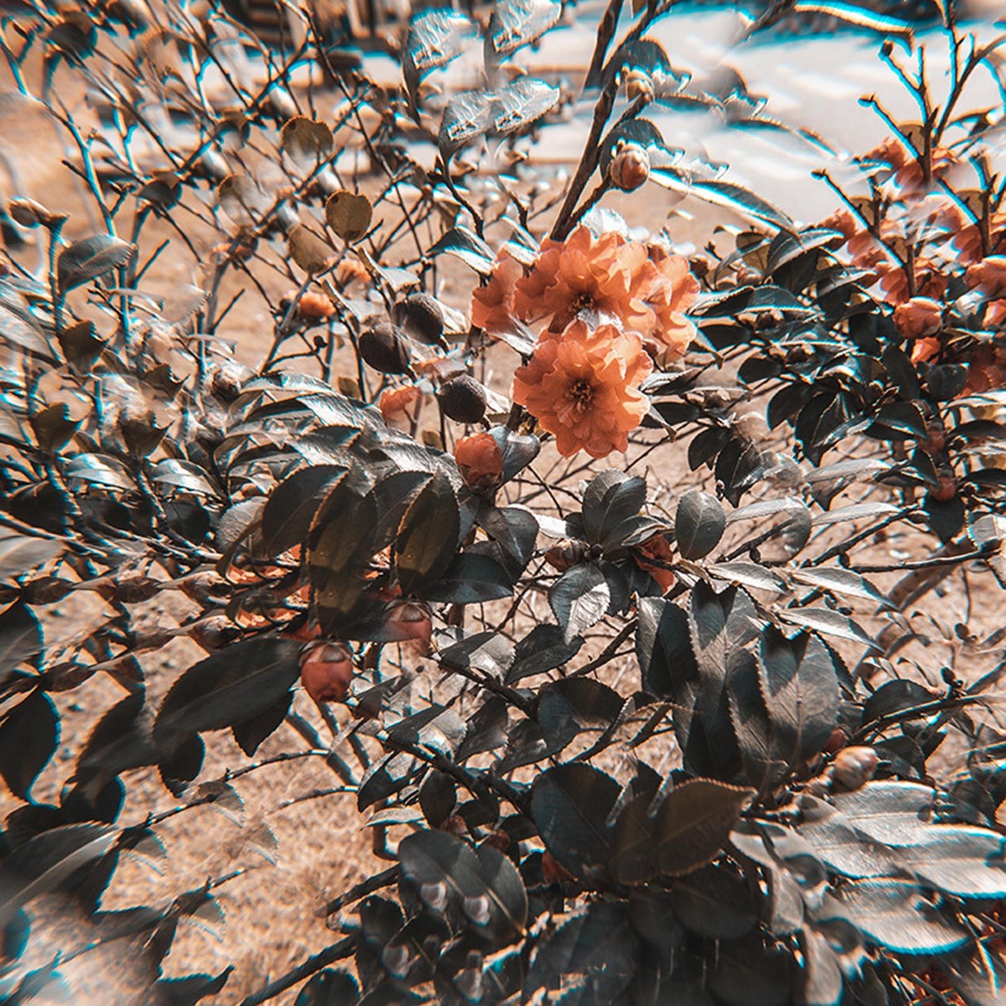 Camera Glass 77mm Kaleidoscope Prism Filter Camera Photography Accesories