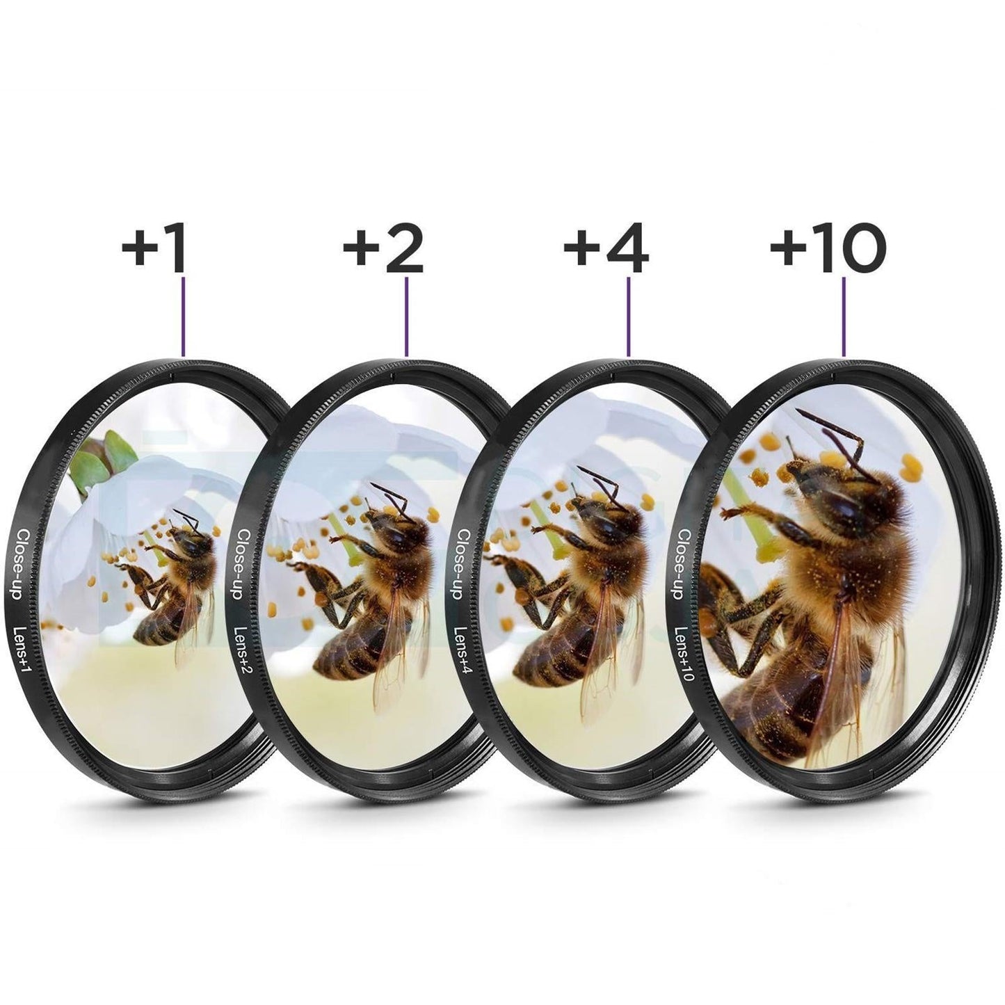 Close-up Filter Kit +1 +2 +4 +10 Lens Set for Digital Cameras 77mm