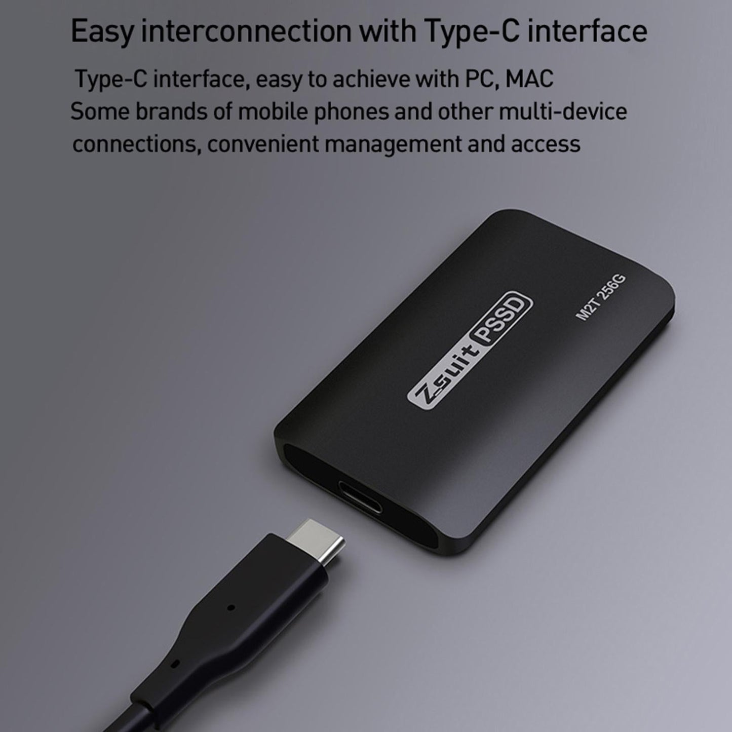 Portable Gray SSD Type-C External Solid State Drive for Desktop 128GB