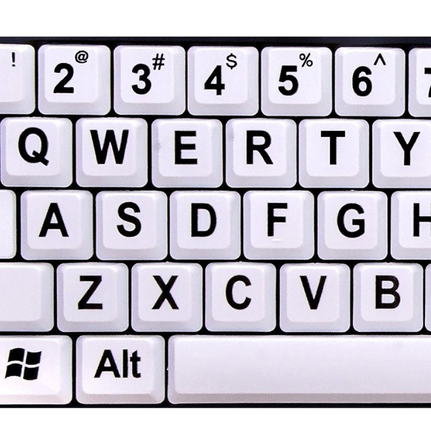 Large Print Computer Keyboard Makes Type Easy for Visual Assistance Senior