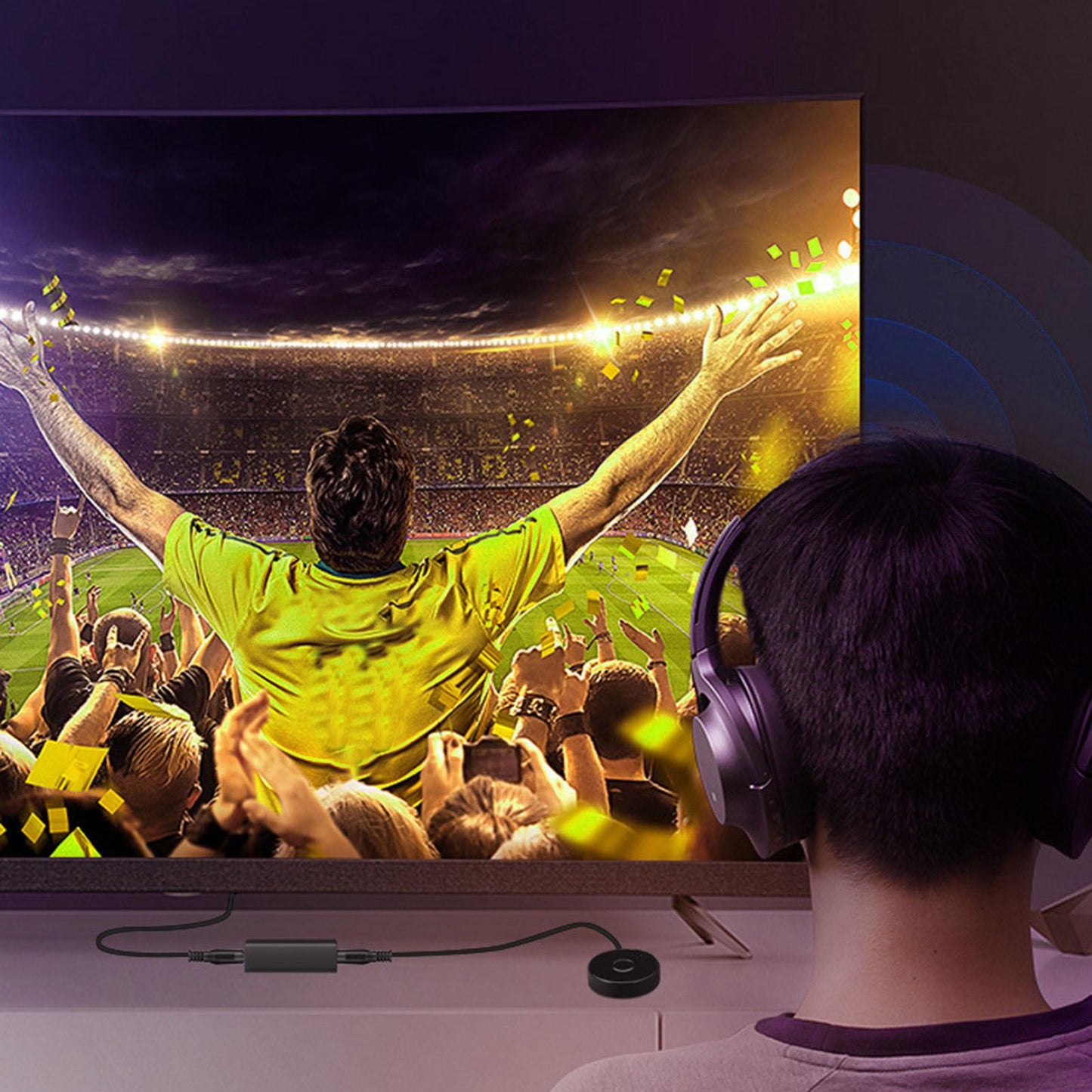 Ground Loop Noise Isolator Eliminate Buzzing Noise Plug and Play for Car