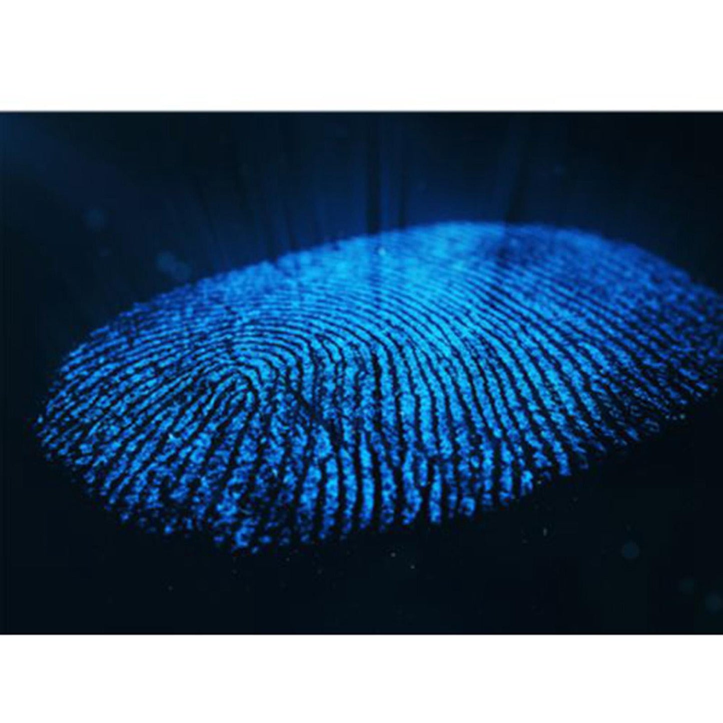 USB Fingerprint Reader Fingerprint Scanner for Windows 7/10/11Hello PC