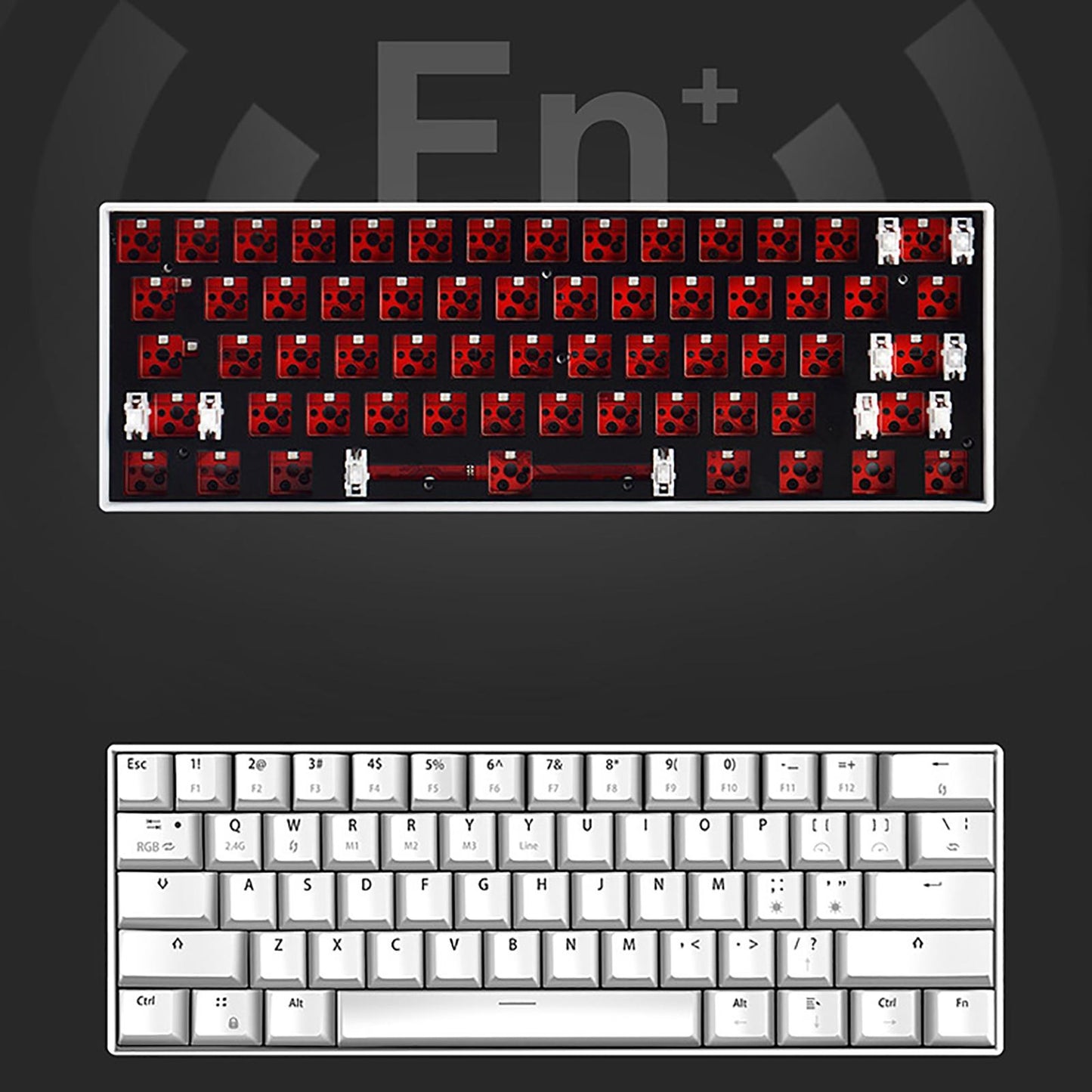 61 Keys Wireless Wired Mechanical Keyboard 2.4G Bluetooth for Tablet PC White WL61