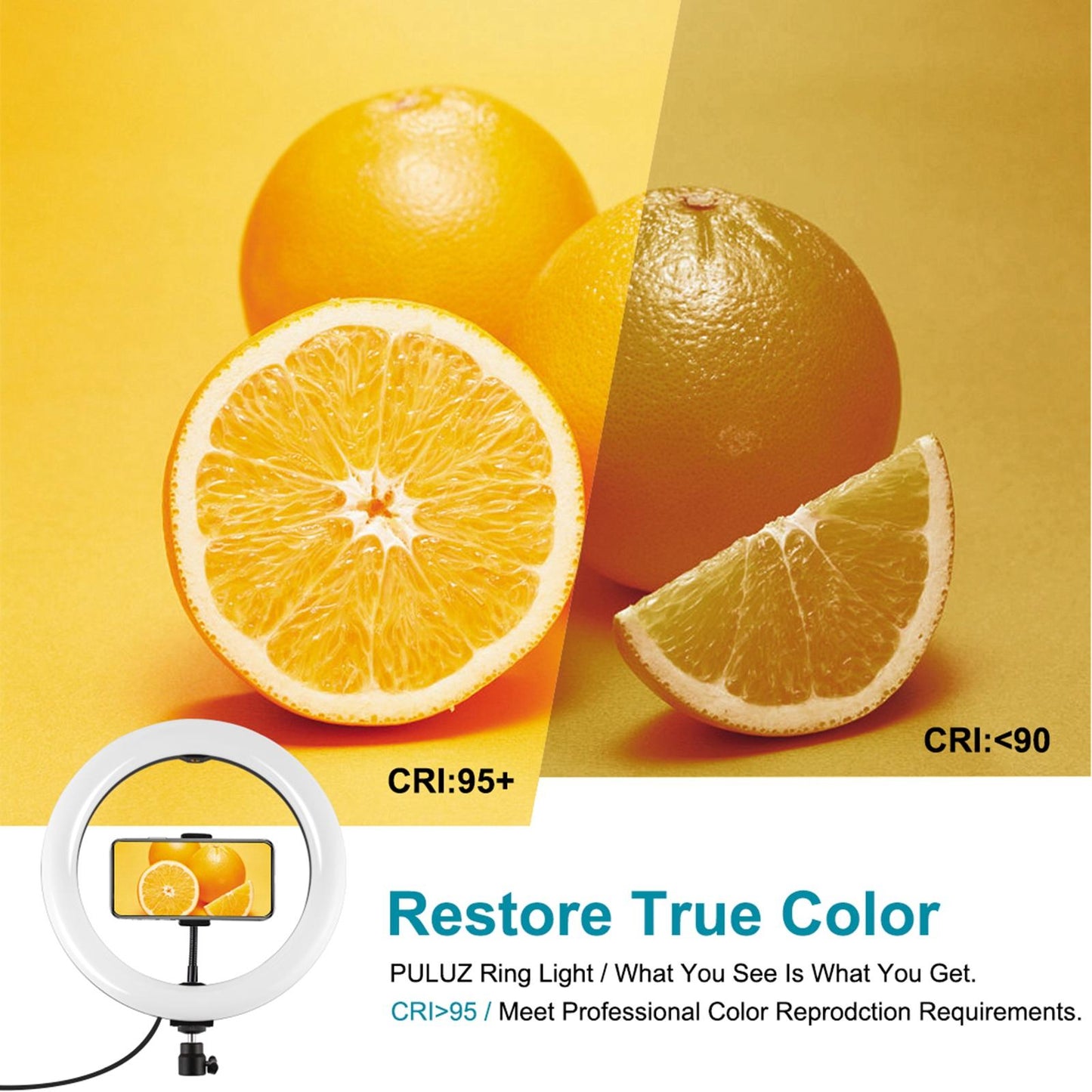LED Ring Light 1%-100% Dimming Range Dimmable for Video Recording Selfie 26cm