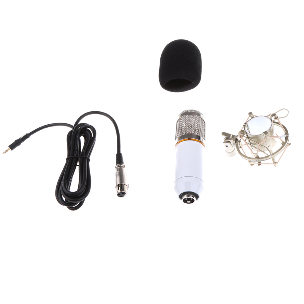 Professional Condenser Microphone+Shock Mount+Foam Cap+Power Cable White