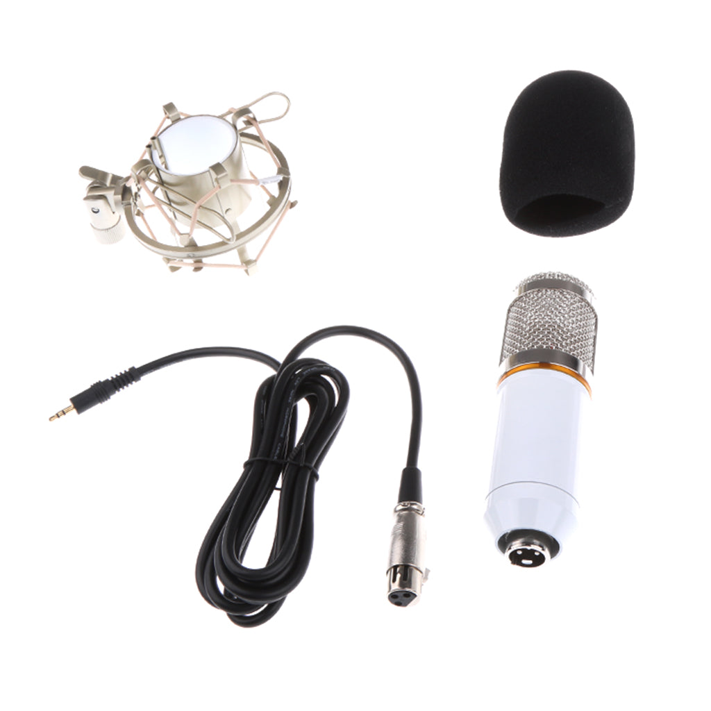 Professional Condenser Microphone+Shock Mount+Foam Cap+Power Cable White