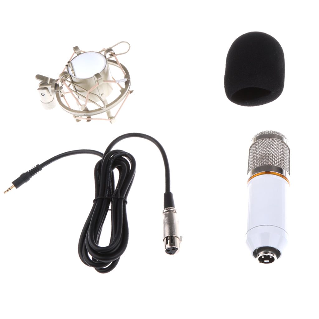 Professional Condenser Microphone+Shock Mount+Foam Cap+Power Cable White