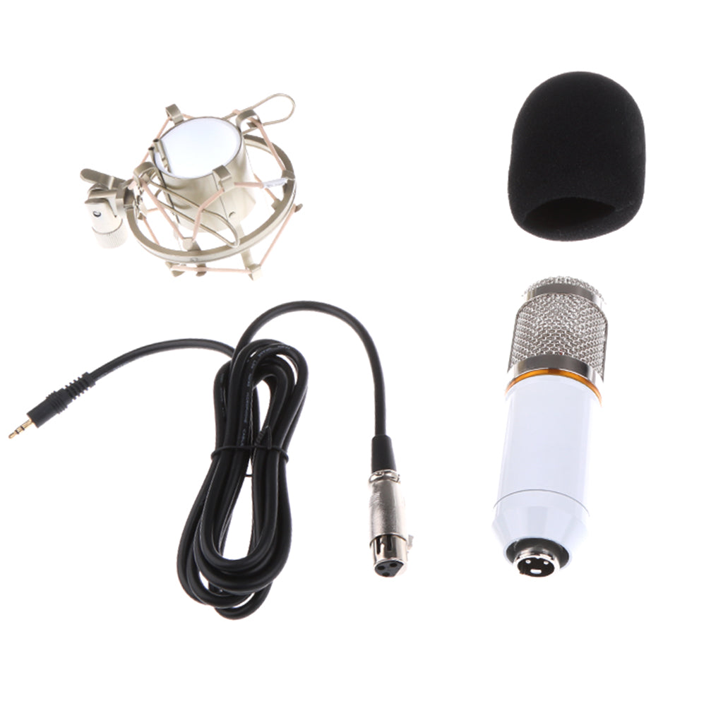 Professional Condenser Microphone+Shock Mount+Foam Cap+Power Cable White