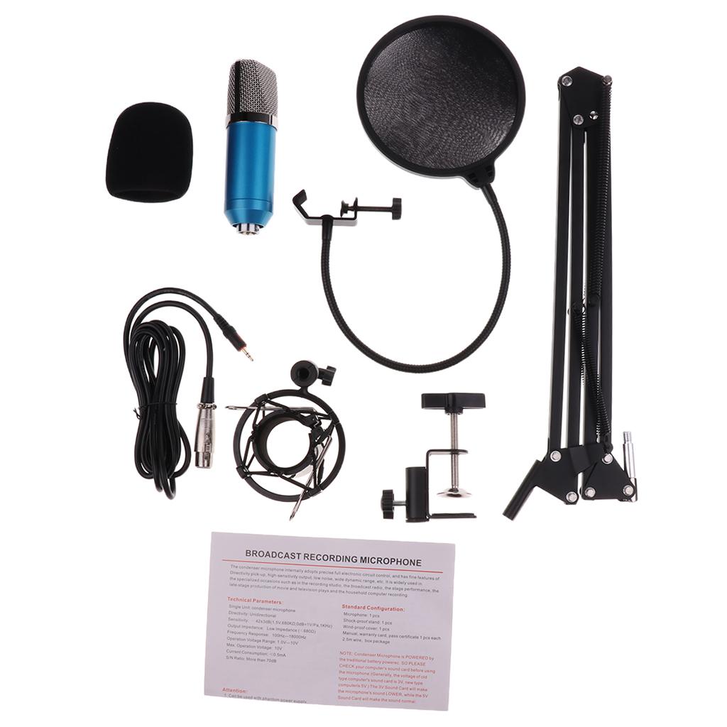 Home Studio Stand Condenser Microphone with Pop Filter