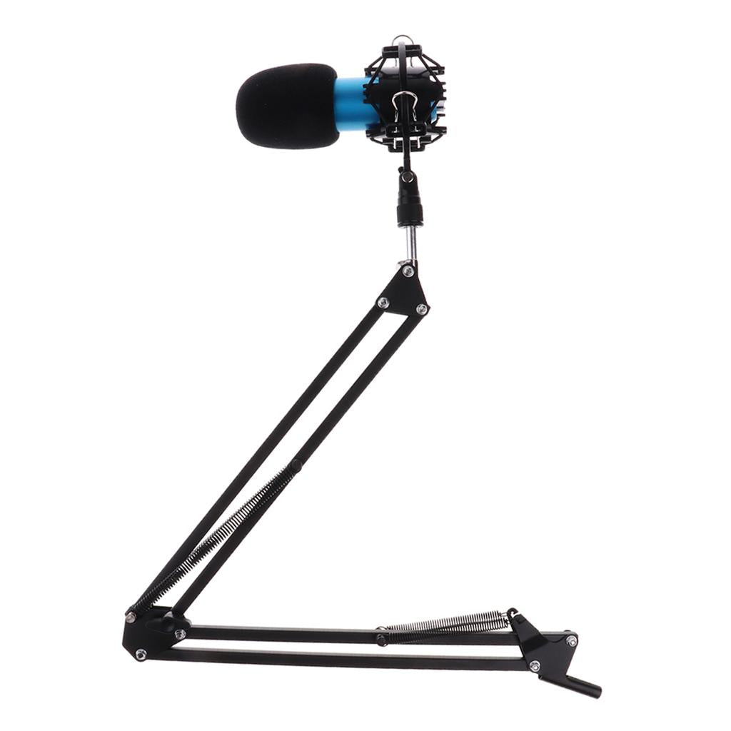 Home Studio Stand Condenser Microphone with Pop Filter