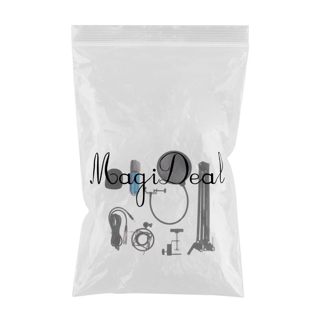 Home Studio Stand Condenser Microphone with Pop Filter