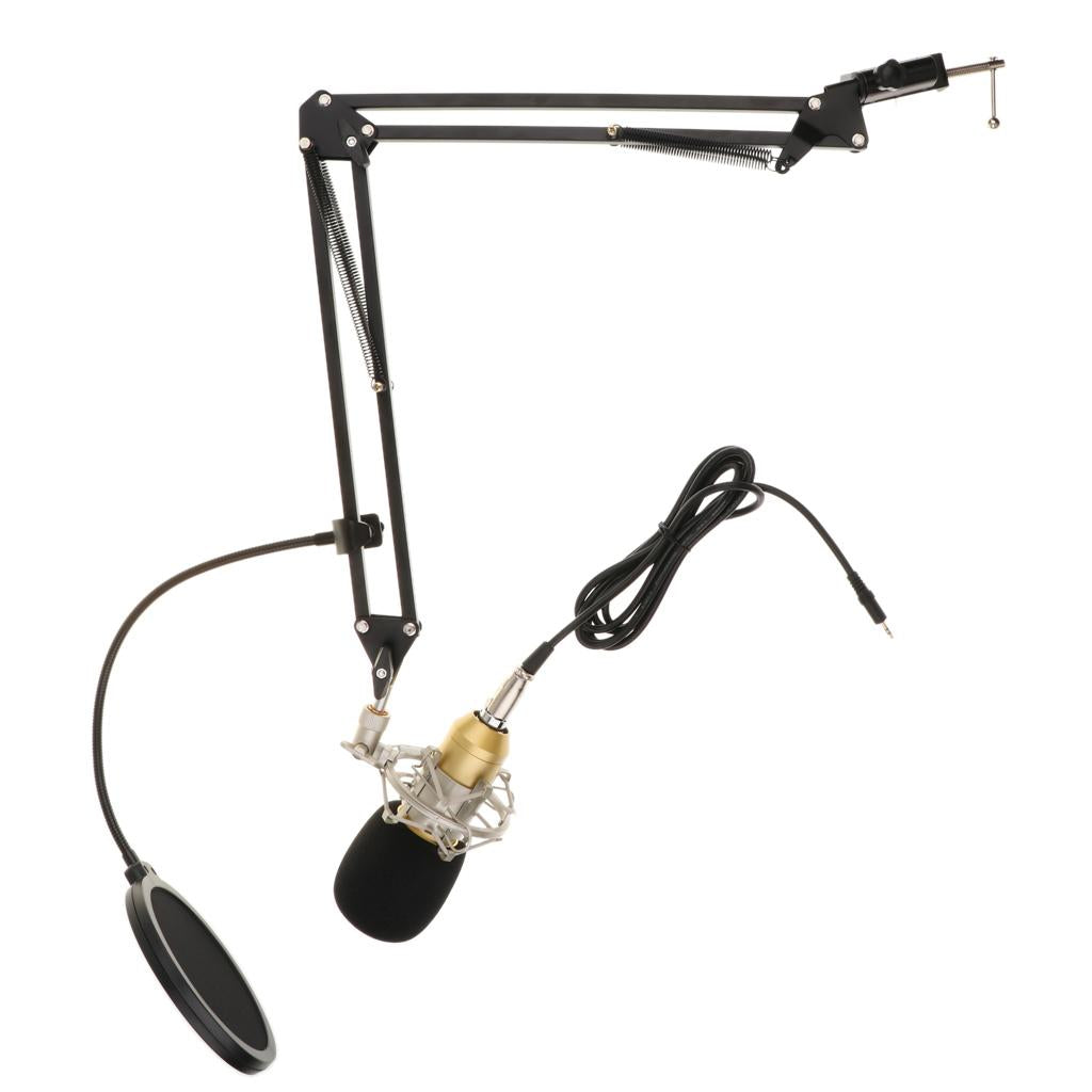 BM800 Condenser Microphone Sound Studio Singing Recording w/Shock Mount Gold